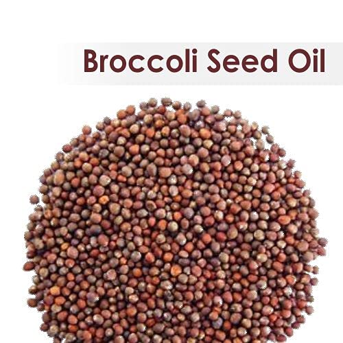 Crysalis Broccoli Seed (Brassica Oleracea Var. Italica) Oil|100% Pure & Natural Undiluted Essential Oil Organic Standard For Skin & Hair Care|Therapeutic Grade Oil, Restores Skin Glow